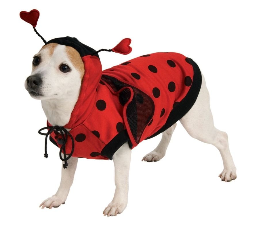 High Quality LadyBug PET COSTUME size Large