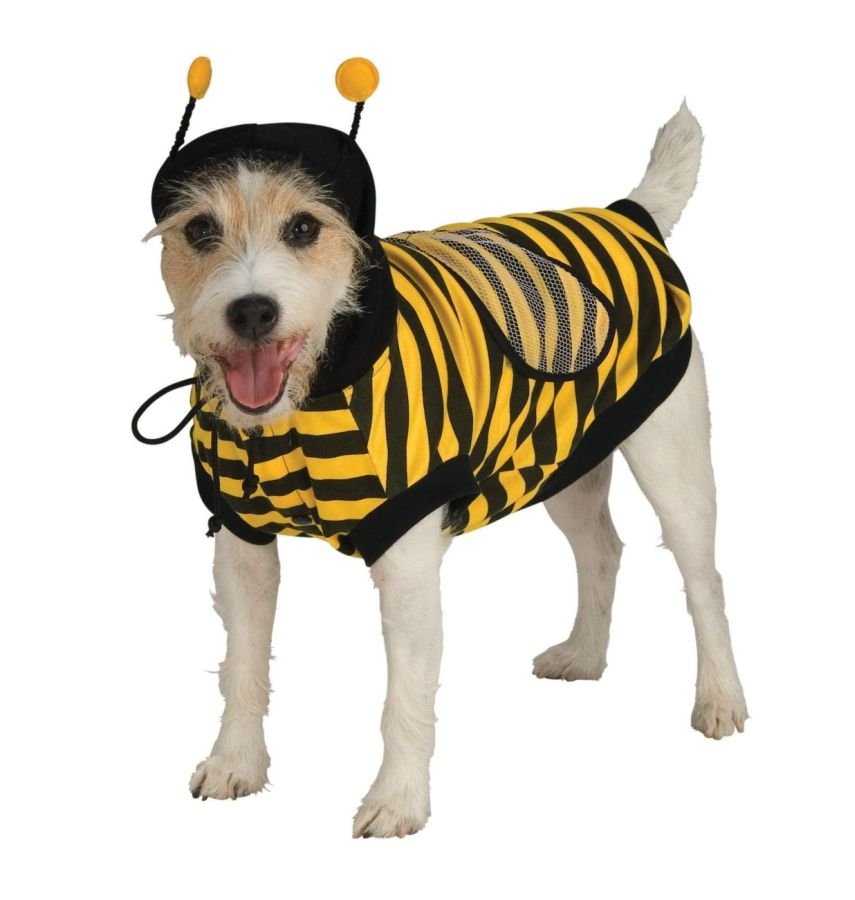 High Quality BUMBLEBEE PET COSTUME size Medium