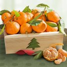 Deluxe Season's Greetings Mandarins Crate Fruits Basket