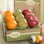 Fruitful Trio Deluxe Fruit Gift