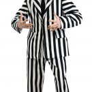 Deluxe Complete BEETLEJUICE GRND HERITAGE Halloween Costume Std size