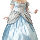 Deluxe Plus Enchanting Princess  Fancy Dress Women Gown Costume XL