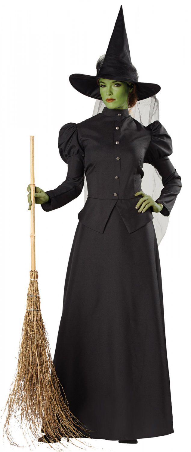 Deluxe WITCH CLASSIC Black Dress Gown ADULT Women Halloween Costume Party MD