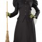 Deluxe WITCH CLASSIC Black Dress Gown ADULT Women Halloween Costume Party LG