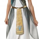 Roman Egyptian  Dress QUEEN OF NILE ADULT Costume MEDIUM