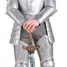 Medieval Amore KNIGHT IN SHINING ADULT Costume High Quality