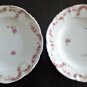 Vintage SET of 2 L.S.&S. Limoges France Small Round Fruit Plates Diameter 5.5''