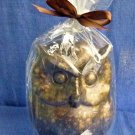 NW/T Owl Shape Medium Candle Wax Cinnamon Scented 7'' Tall Made in Vietnam
