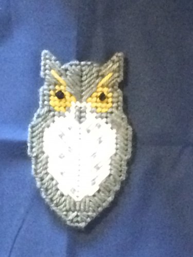 Owl  Magnet