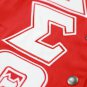 DELTA SIGMA THETA RACING TWILL JACKET RED