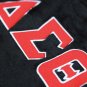 DELTA SIGMA THETAFUR BAG BLACK