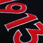 DELTA SIGMA THETA PULLOVER HOODIE