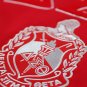 DELTA SIGMA THETA PULLOVER HOODIE RED
