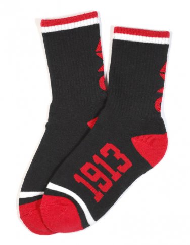 DELTA SIGMA THETA SOCKS BLACK
