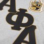 Alpha Phi Alpha GRAPHIC TEE GREY