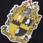 ALPHA PHI ALPHA DRY FIT TEE