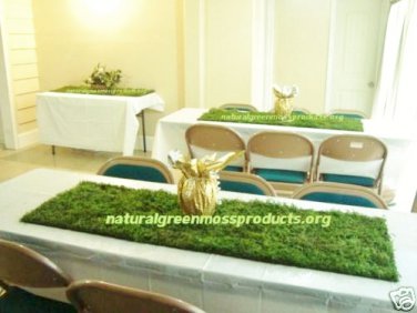 12 Sheet Moss Runners 16 X48 Centerpieces Table Decor Decorations