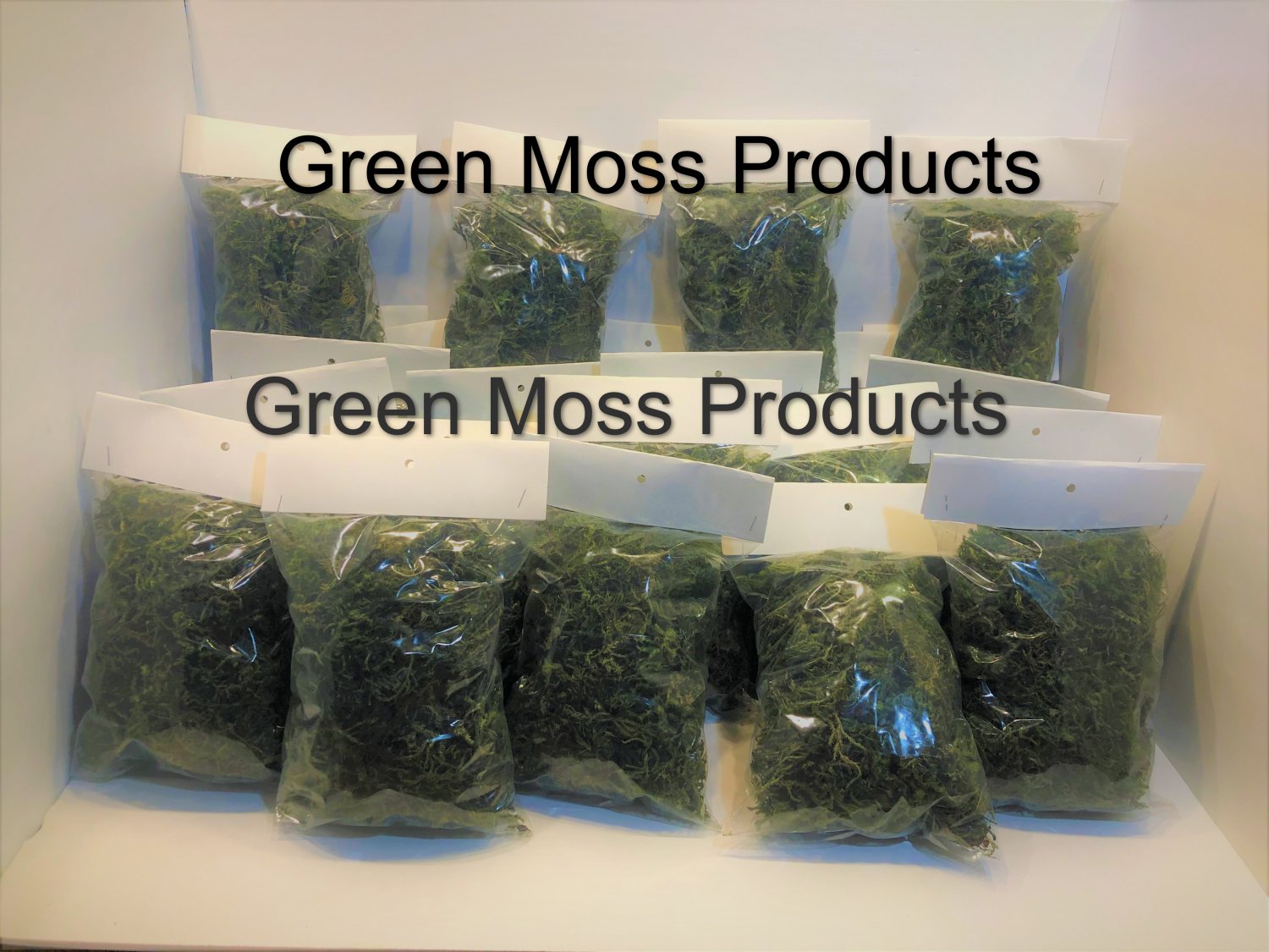 24 Bagged Loose Green dyed moss preserved floral centerpieces