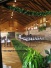 Green Moss Products