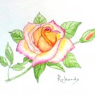 "PEACE ROSE" WATERCOLOR PAINTING
