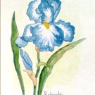 "SKY BLUE IRIS" WATERCOLOR PAINTING