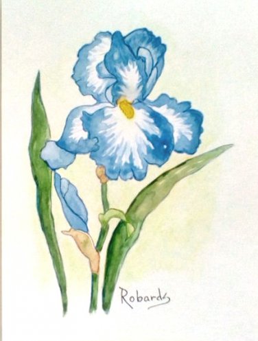 "SKY BLUE IRIS" WATERCOLOR PAINTING
