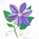 CLEMATIS BLOSSOM WATERCOLOR PAINTING