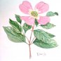 PINK DOGWOOD FLOWER WATERCOLOR PAINTING