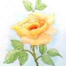 YELLOW ROSE WATERCOLOR PAINTING