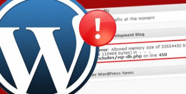 Fix Your Wordpress Problem, Error or Issue FAST