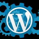 Wordpress Theme Set Up