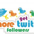 4,000 Twitter Followers