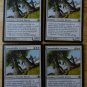 MTG x4 Morningtide INDOMITABLE ANCIENTS See Pictures  Fazmataztical_Dragon