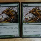 MTG x2 Champions of Kamigawa SOILSHAPER  Chinese Fazmataztical