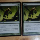MTG x2 Champions of Kamigawa LURE  Chinese Fazmataztical