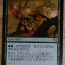 MTG x1 Champions of Kamigawa ROOTRUNNER  Chinese Fazmataztical