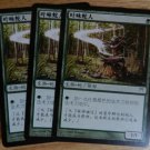 MTG x3 Champions of Kamigawa OROCHI LEAFCALLER  Chinese Fazmataztical