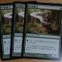 MTG x3 Champions of Kamigawa OROCHI LEAFCALLER  Chinese Fazmataztical