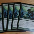 MTG x5 Champions of Kamigawa KODAMA'S MIGHT  Chinese Fazmataztical