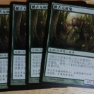 MTG x4 Champions of Kamigawa DRIPPING-TONGUE ZUBERA  Chinese Fazmataztical
