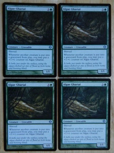 MTG x4 ALGAE GHARIAL Shards of Alara See Pictures