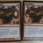 MTG x2 Champions of Kamigawa BRUTAL DECEIVER  Chinese Fazmataztical_Dragon