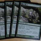 MTG x4 Champions of Kamigawa KASHI-TRIBE WARRIORS  Chinese Fazmataztical