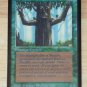 MTG x1 Beta IRONROOT TREEFOLK See Pictures Fazmataztical_Dragon