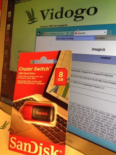 VidoGo PHP on USB SanDisk Thumb Drive preloaded for Windows
