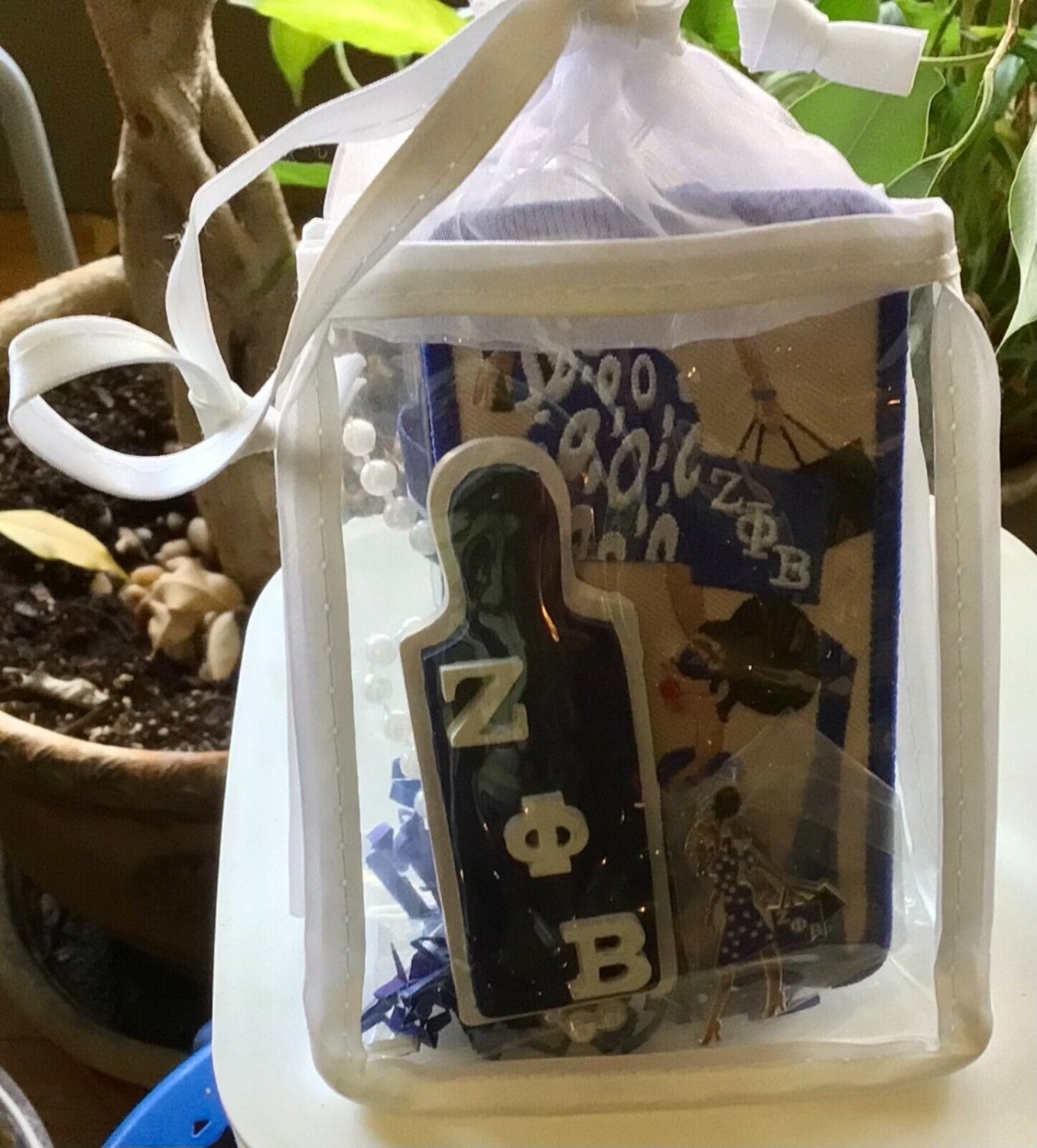 Zeta Phi Theta Classy Diva Ribbon Gift Pouch