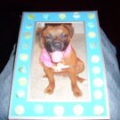 Picture Frame