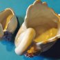 Pair of porcelain swans