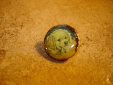 Gold metal button with cute dog