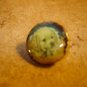 Gold metal button with cute dog
